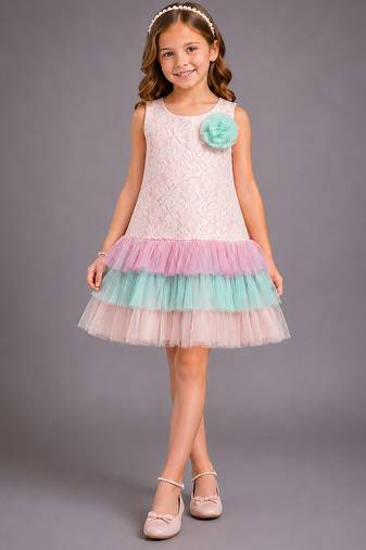Baby pink embroidered organza dress