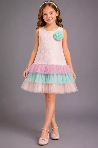 Baby pink embroidered organza dress