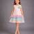Baby pink embroidered organza dress