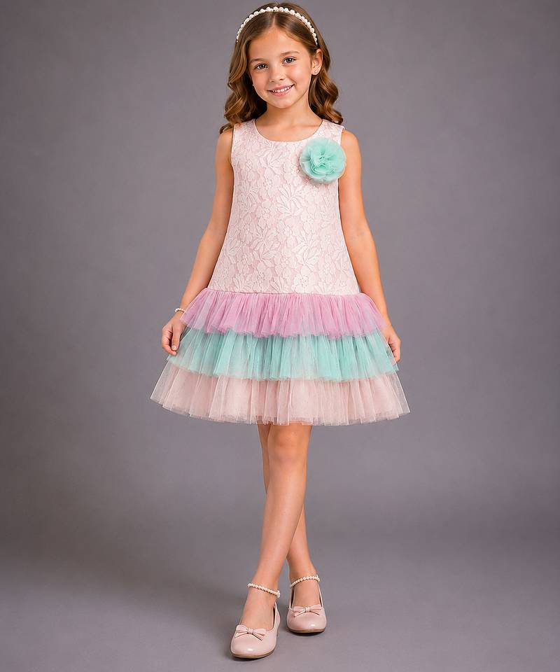 Baby pink embroidered organza dress