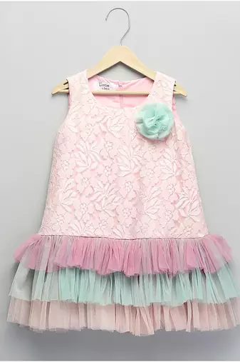 Baby pink embroidered organza dress