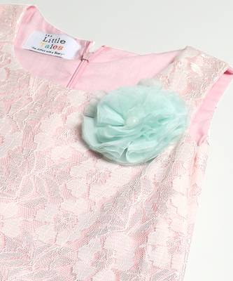 Baby pink embroidered organza dress 4