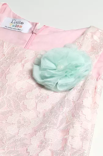 Baby pink embroidered organza dress