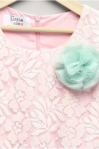 Baby pink embroidered organza dress