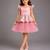 Rose pink embroidered lycra dress