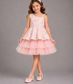 Baby pink embroidered net dress