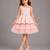 Baby pink embroidered net dress