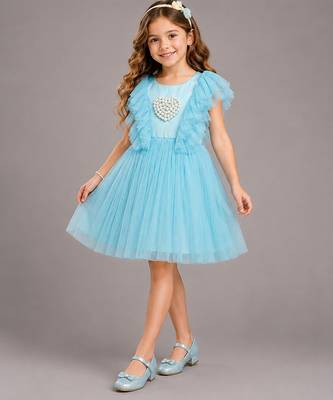 Blue embroidered net dress 1