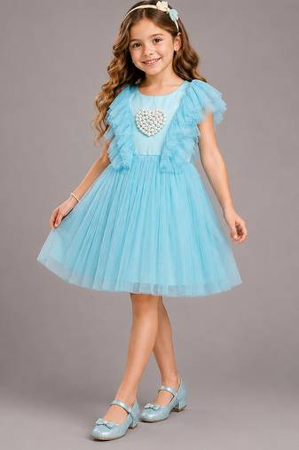 Blue embroidered net dress