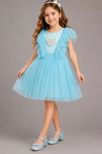 Blue embroidered net dress