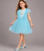 Blue embroidered net dress