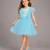 Blue embroidered net dress