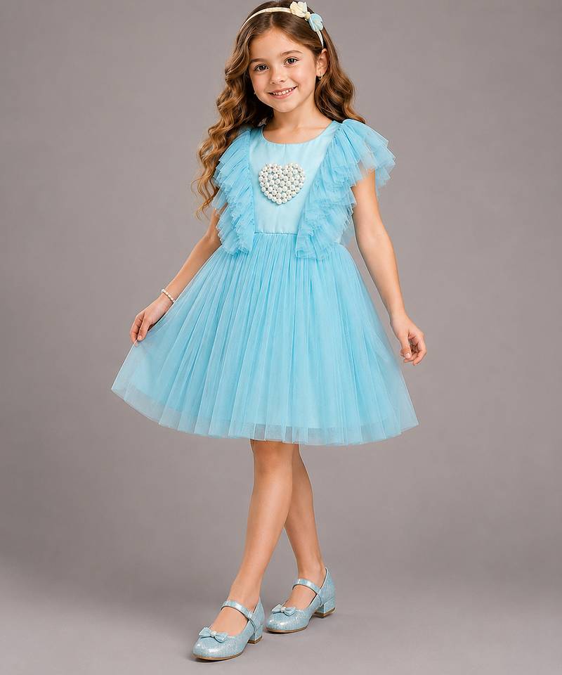 Blue embroidered net dress