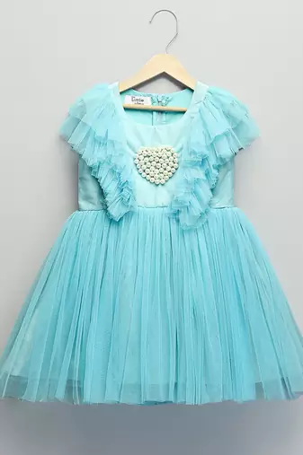 Blue embroidered net dress