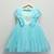 Blue embroidered net dress