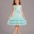 Sea green embroidered net dress