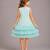 Sea green embroidered net dress