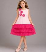 Baby pink embroidered net dress