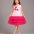 Baby pink embroidered net dress