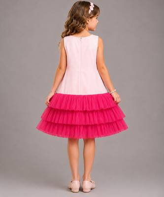 Baby pink embroidered net dress 3