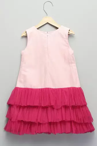 Baby pink embroidered net dress