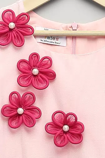 Baby pink embroidered net dress