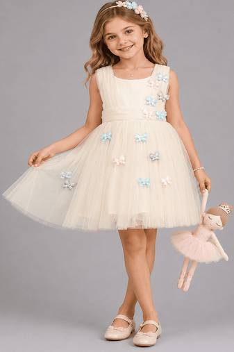 Off white embroidered net dress