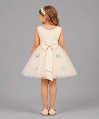 Off white embroidered net dress 2