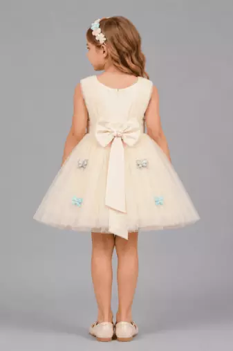 Off white embroidered net dress