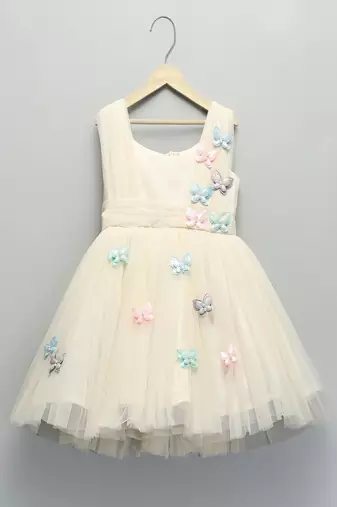 Off white embroidered net dress