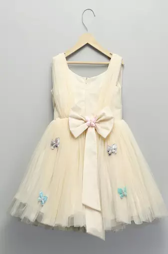 Off white embroidered net dress