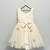 Off white embroidered net dress
