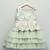Sea green embroidered net dress