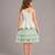 Sea green embroidered net dress