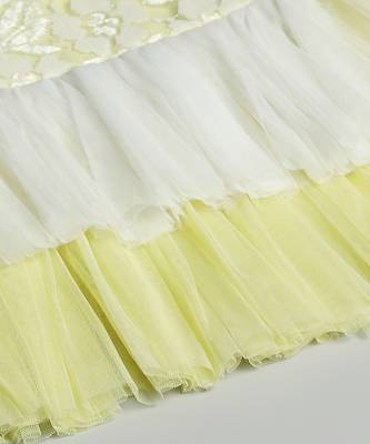 Lime yellow net dress 4