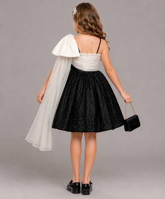Black Whte Sequin organza dress 2