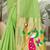green woven cotton saree with blouse