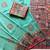 sea green printed pasmina print with dori silk saree