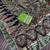 black siroski diamonds twins figure with rich pallu pasmina silk saree
