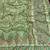 parrot green siroski diamonds twins figure with rich pallu pasmina silk saree