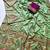 parrot green jaqurad all over jaal border with dola pashmina silk saree