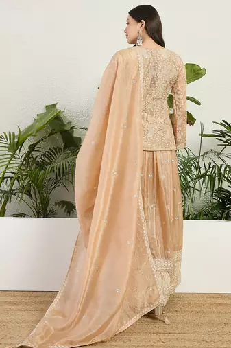 Saahmriga Brown Organza Stitched Top With lehenga and Dupatta Full Sleeve Embroidered Lehenga Set