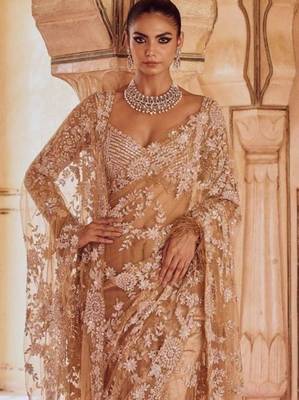 Light chiku net saree with sequins embroidery work 1