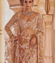 Light chiku net saree with sequins embroidery work
