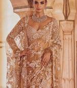 Light chiku net saree with sequins embroidery work