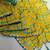 Yellow georgette saree