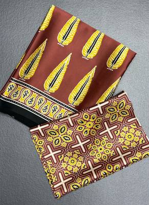 Brown japan satin saree with digital print blouse 1