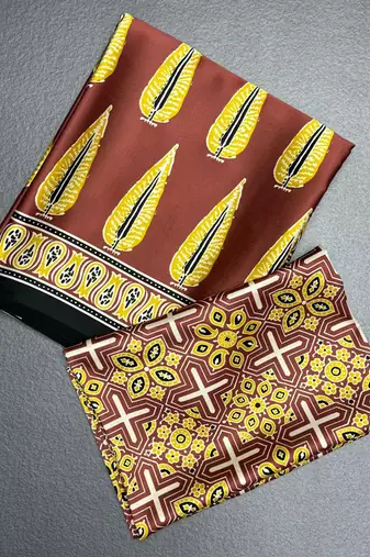 Brown japan satin saree with digital print blouse
