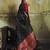 black weaving faux tussar silk blend saree