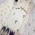 Cream cotton silk kurta farshi salwar dupatta set